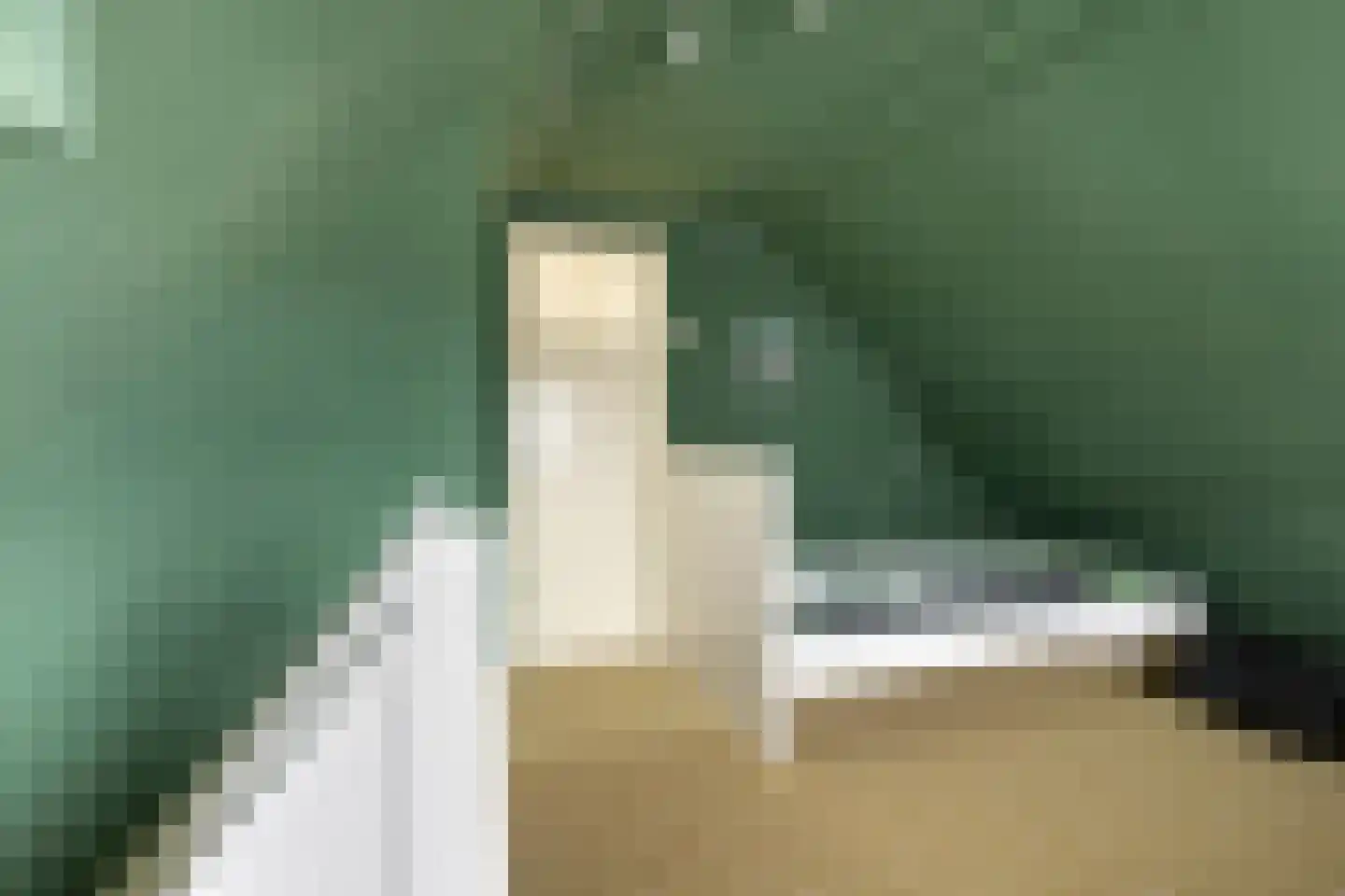 Schoolstraat 4 Oldehove thumbnail 38
