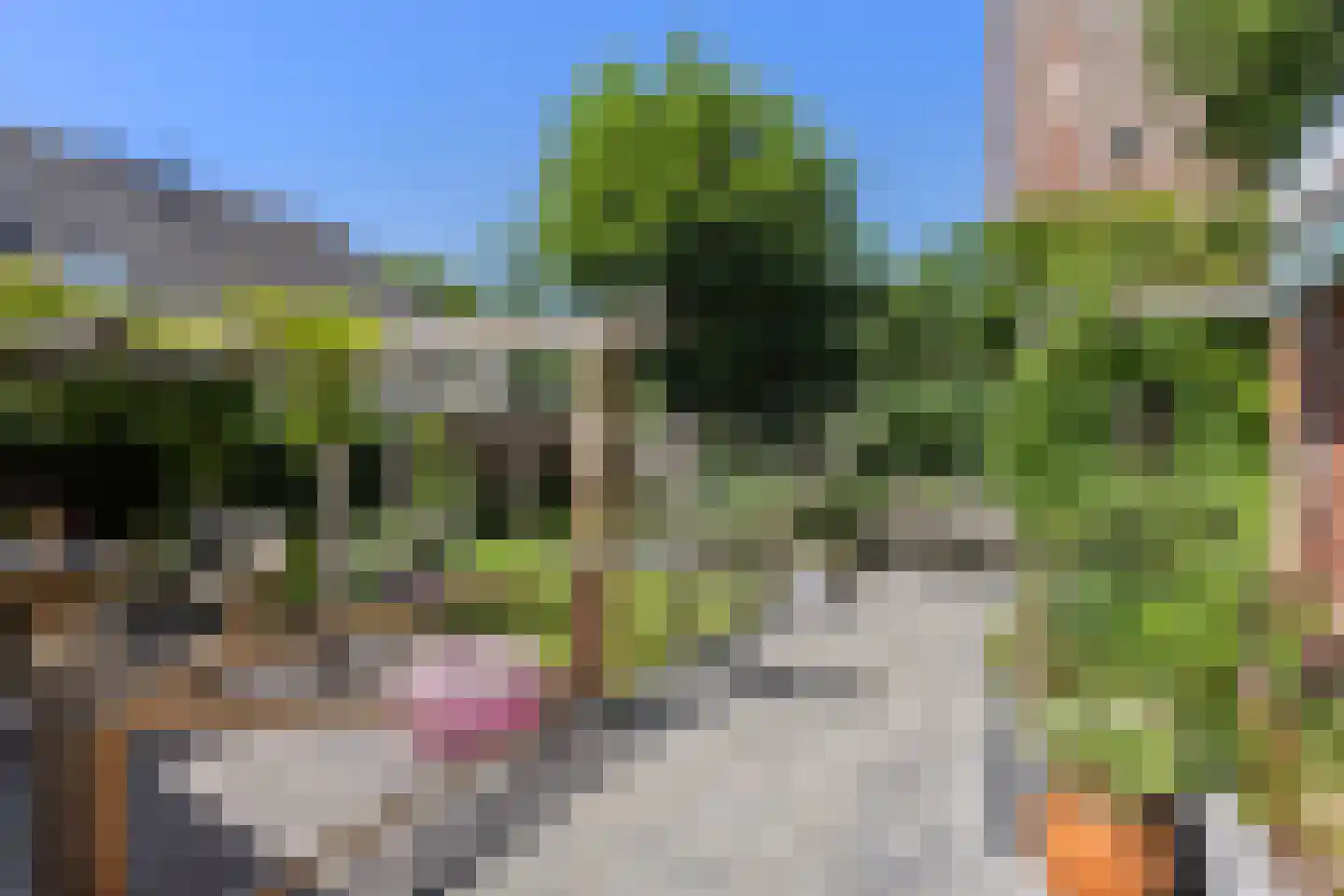 Schoolstraat 4 Oldehove thumbnail 41