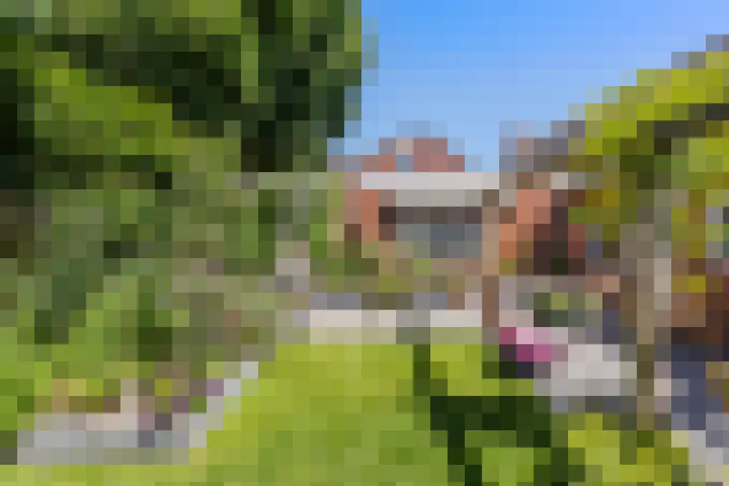 Schoolstraat 4 Oldehove thumbnail 43