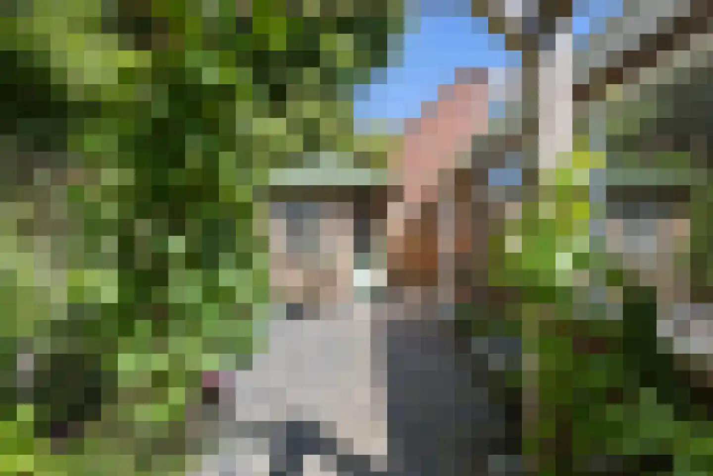 Schoolstraat 4 Oldehove thumbnail 44