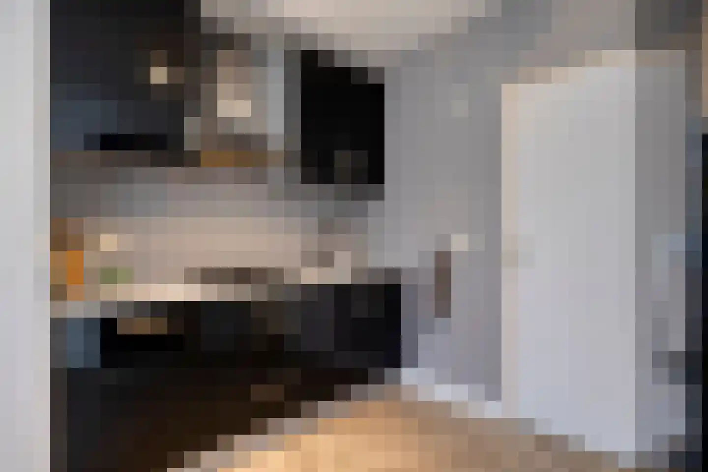 Schoolstraat 4 Oss thumbnail 12