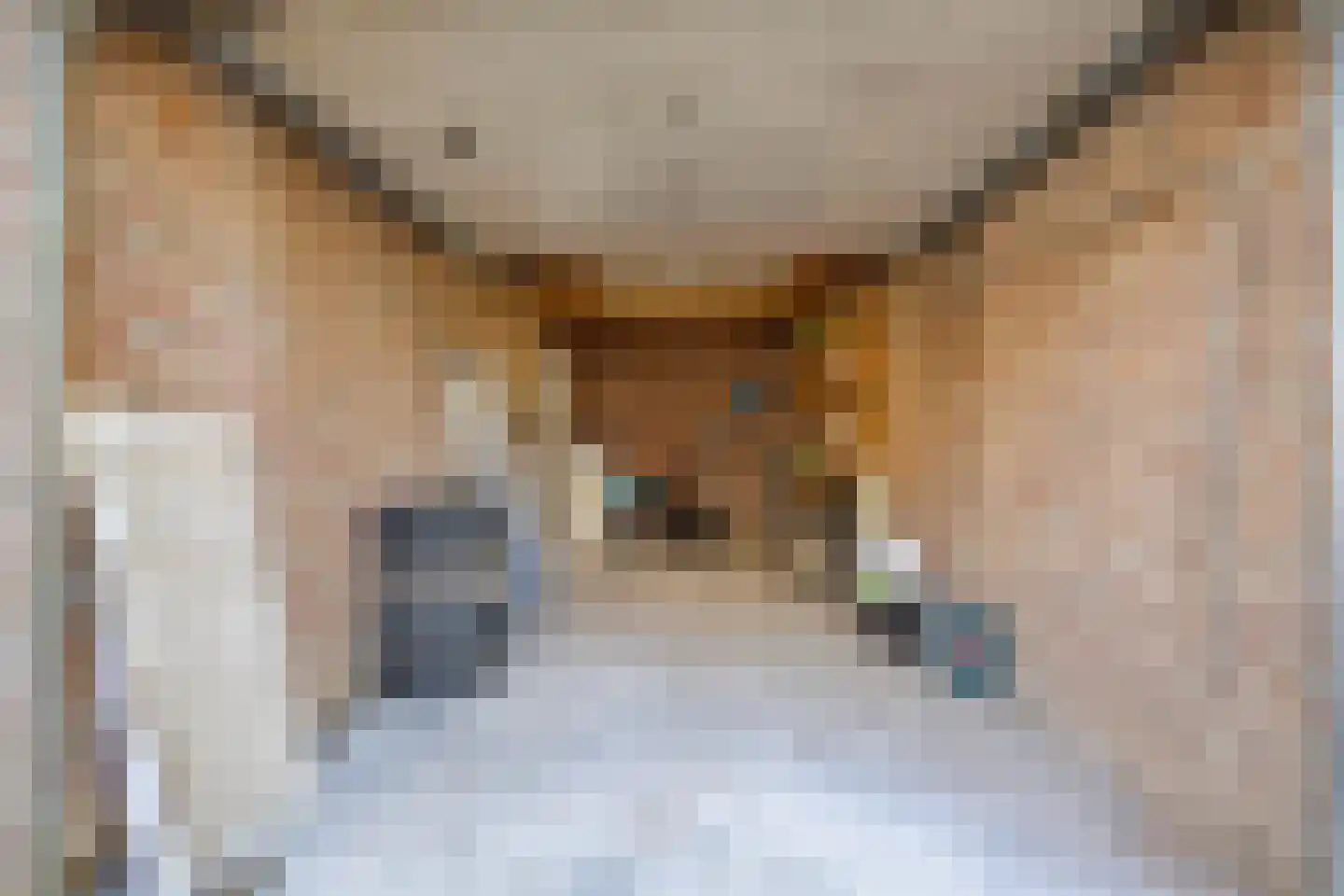 Schoolstraat 4 Oss thumbnail 26
