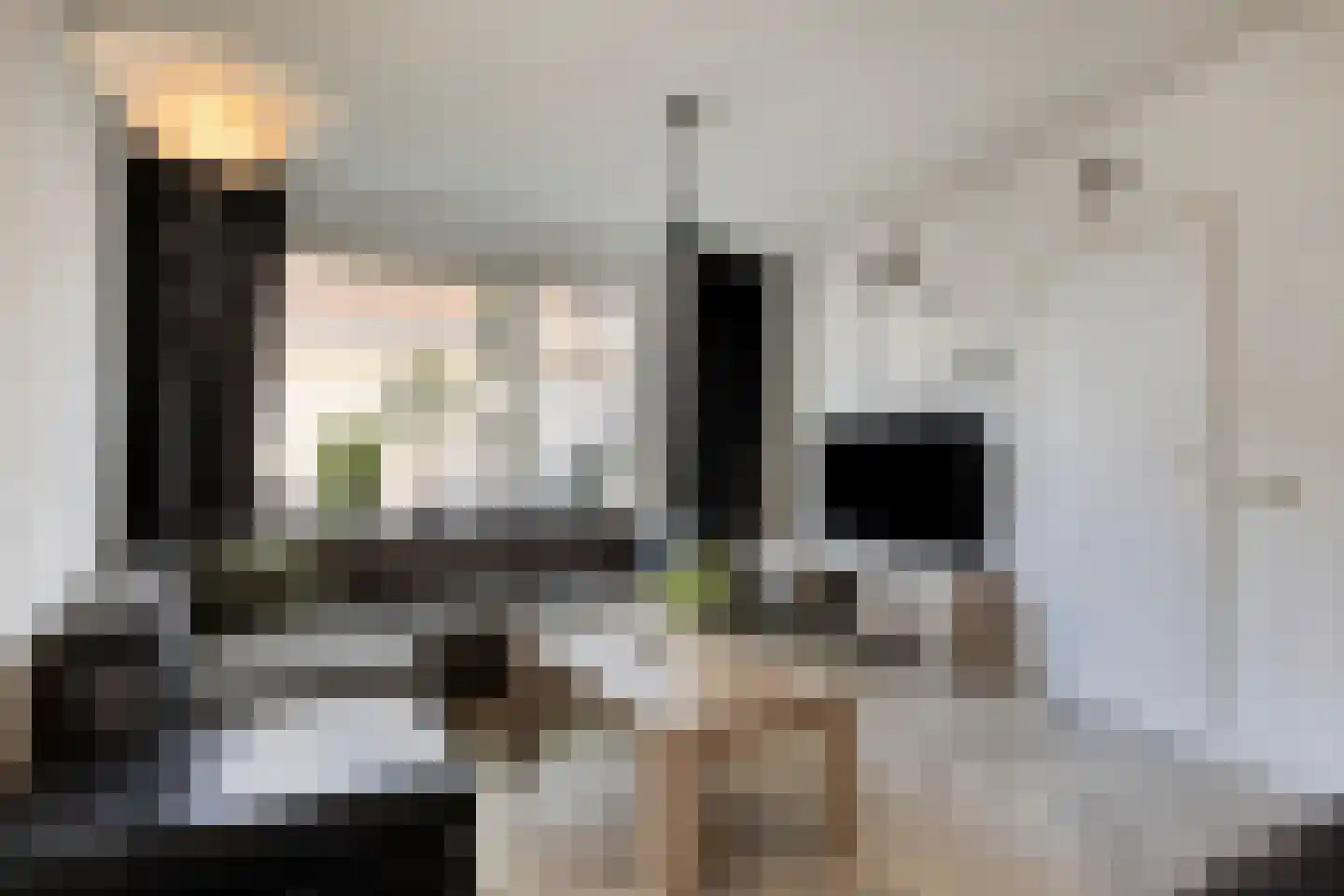Schoolstraat 4 Oss thumbnail 8