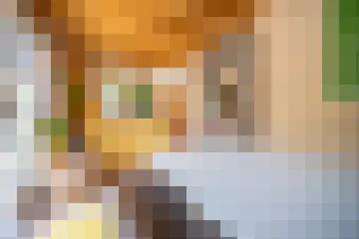 Schoolstraat 4 Sleeuwijk thumbnail 25