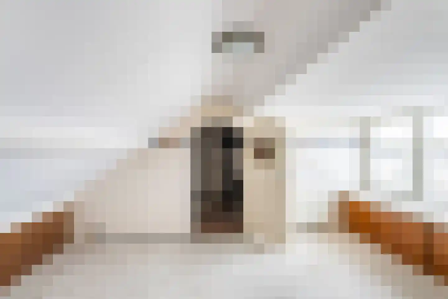 Schoolstraat 4 Stavenisse thumbnail 36
