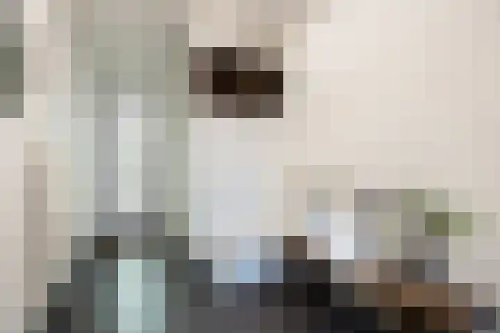 Schoolstraat 40 Langeweg thumbnail 8