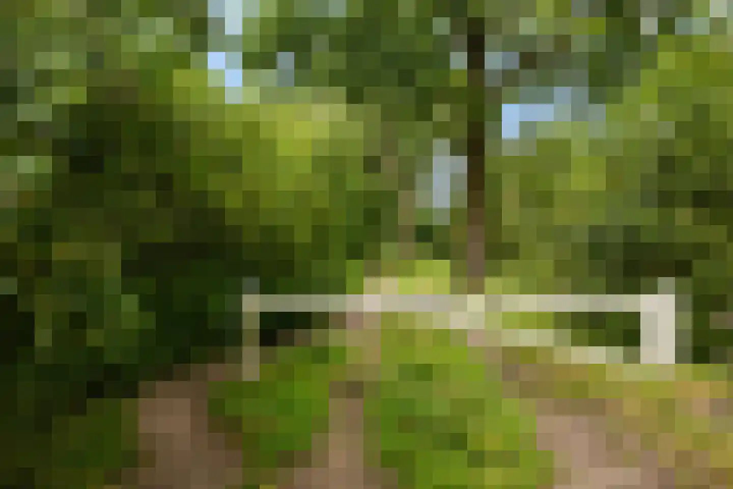 Schoolstraat 41 Ederveen thumbnail 31
