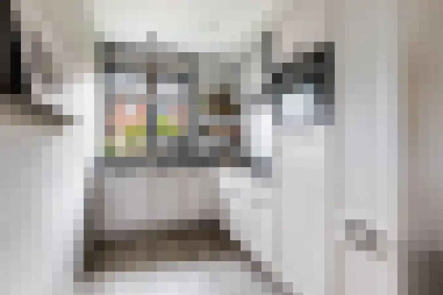 Schoolstraat 41 Ederveen thumbnail 7
