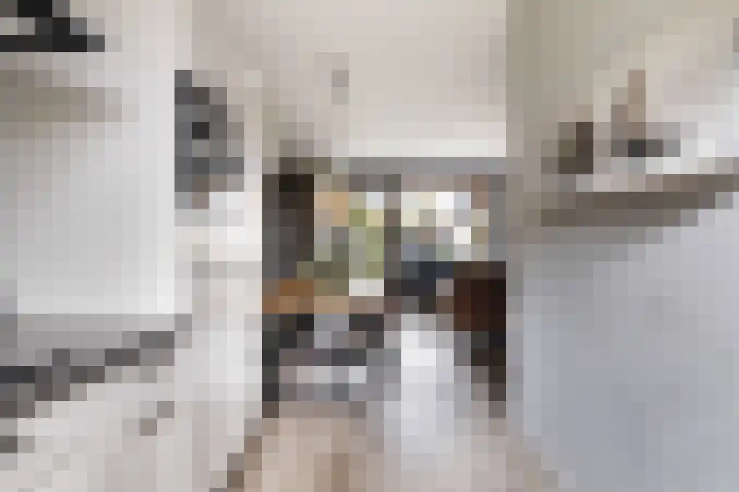 Schoolstraat 41 Ederveen thumbnail 8