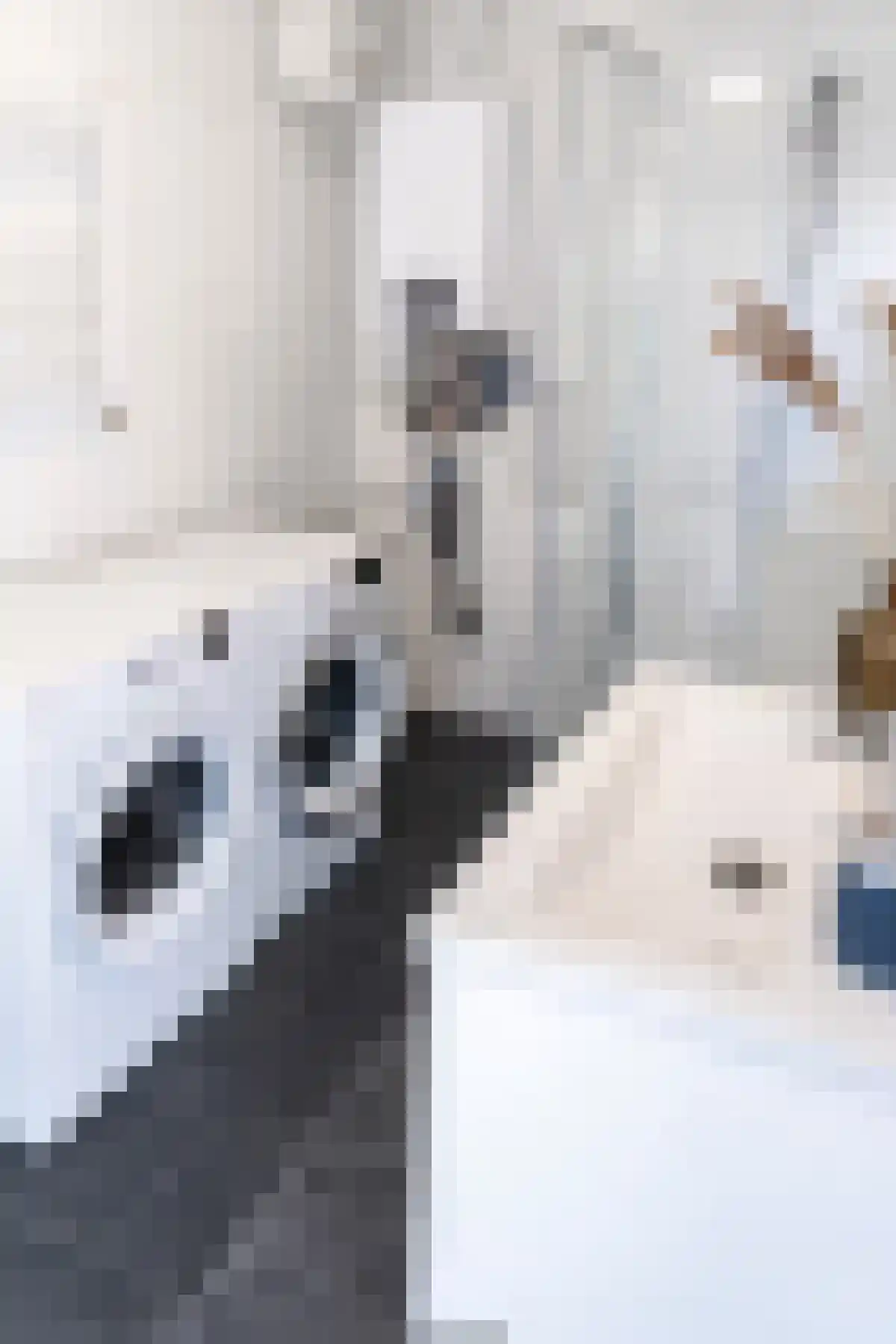 Schoolstraat 41 Eindhoven thumbnail 5