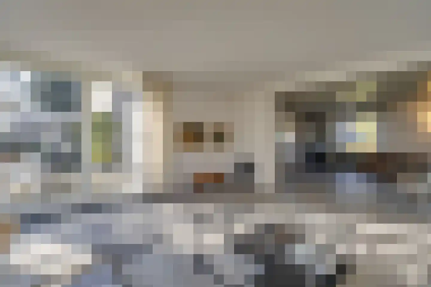 Schoolstraat 41 Moergestel thumbnail 14