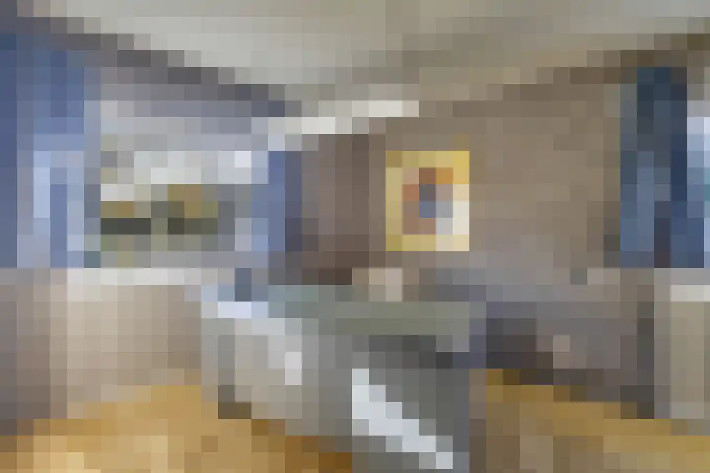Schoolstraat 41 Moergestel thumbnail 17
