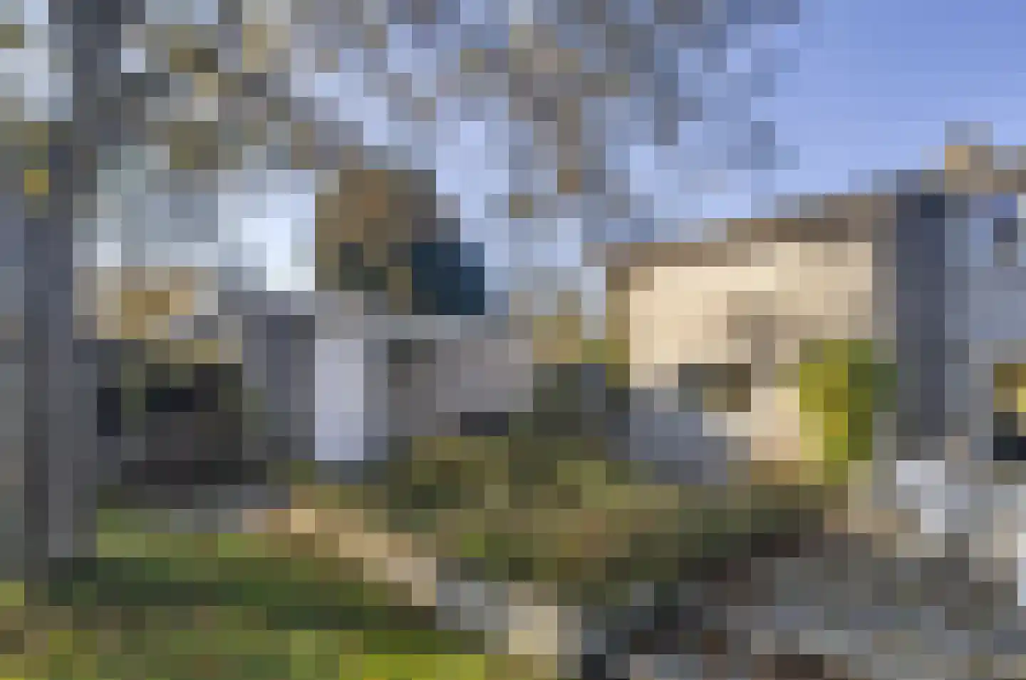 Schoolstraat 41 Moergestel thumbnail 44