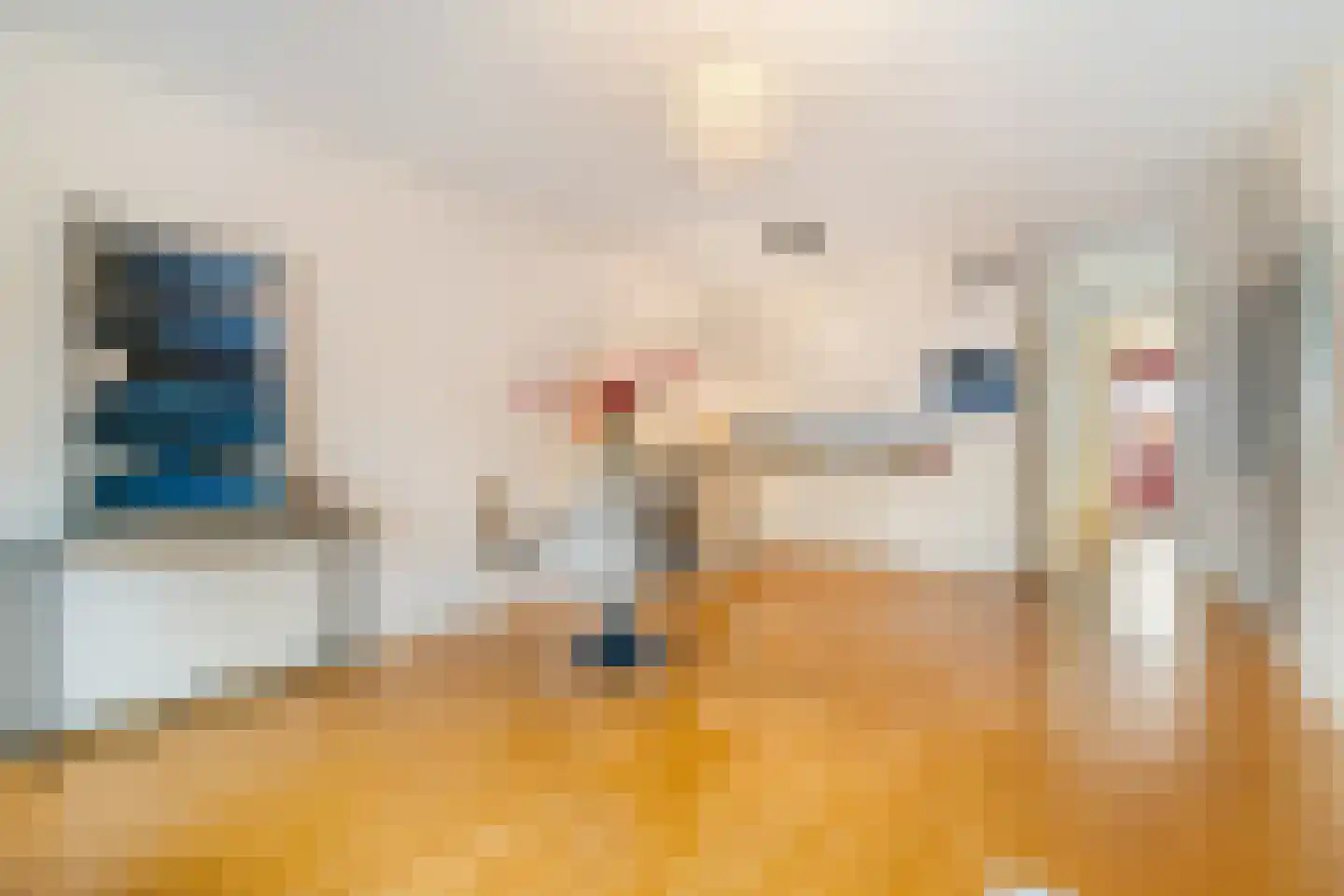 Schoolstraat 42 Bussum thumbnail 14