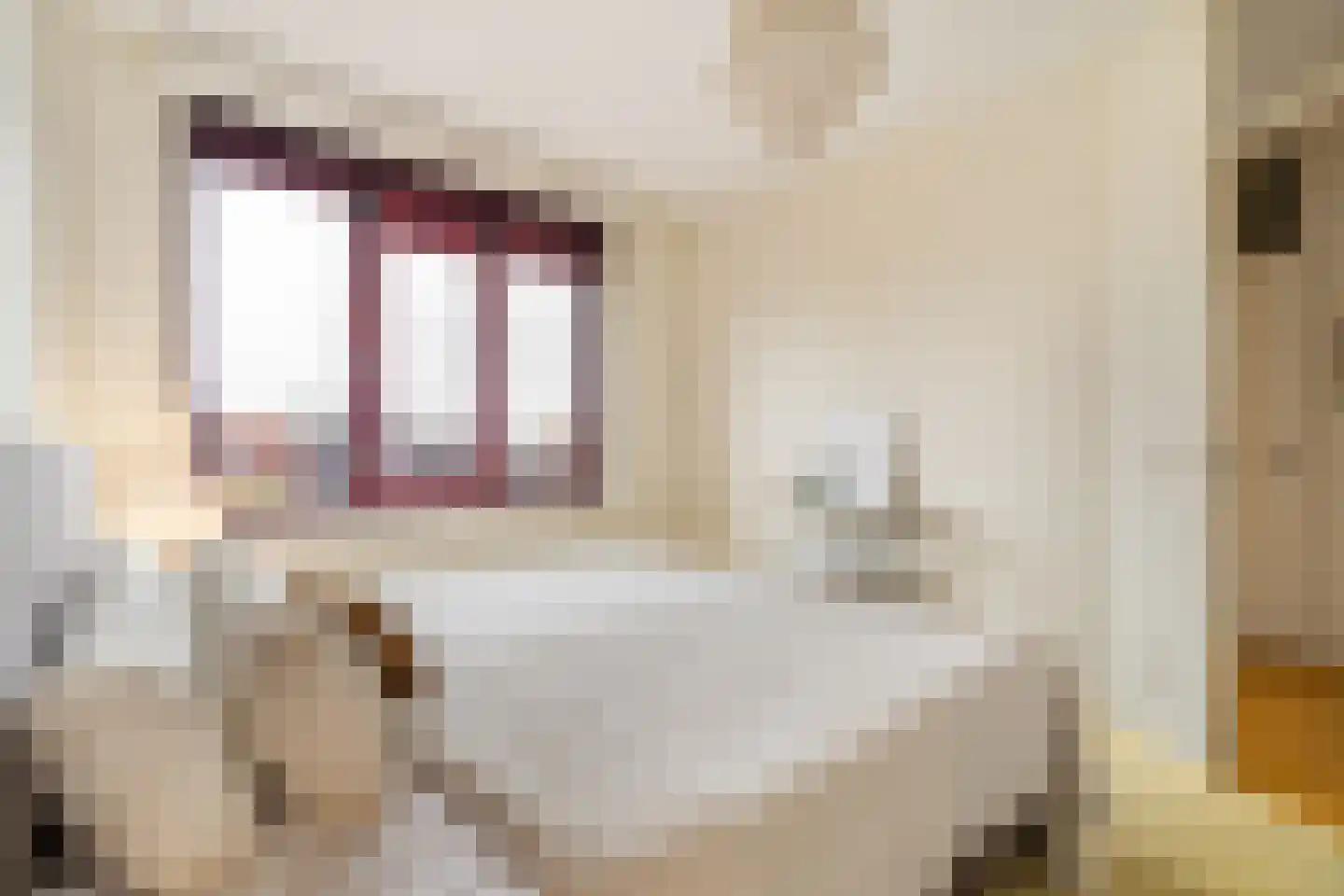 Schoolstraat 42 Bussum thumbnail 26