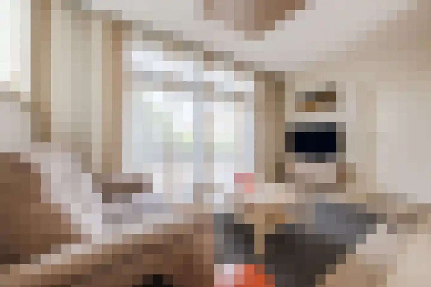 Schoolstraat 42 Langeweg thumbnail 18