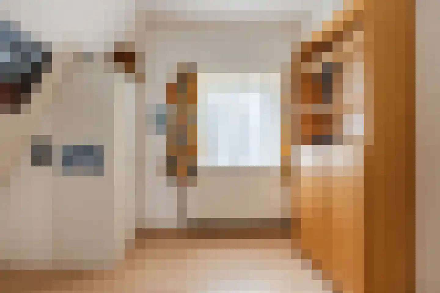 Schoolstraat 42 Langeweg thumbnail 31