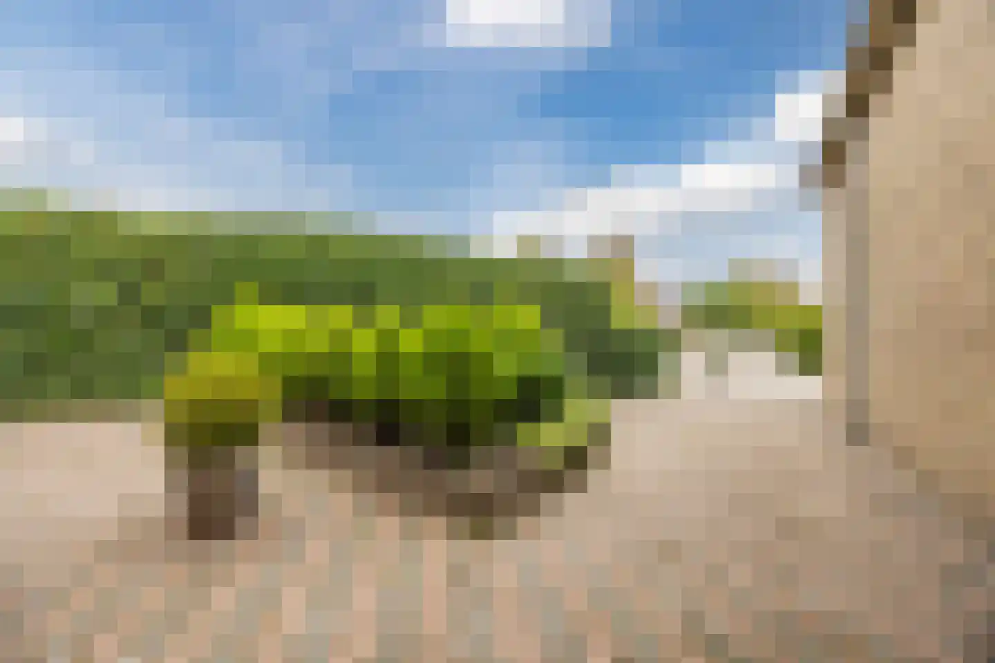 Schoolstraat 42 Langeweg thumbnail 44
