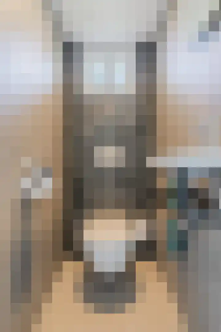 Schoolstraat 42 Mierlo thumbnail 16