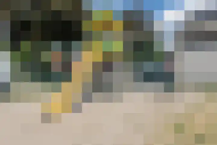Schoolstraat 42 Mierlo thumbnail 38