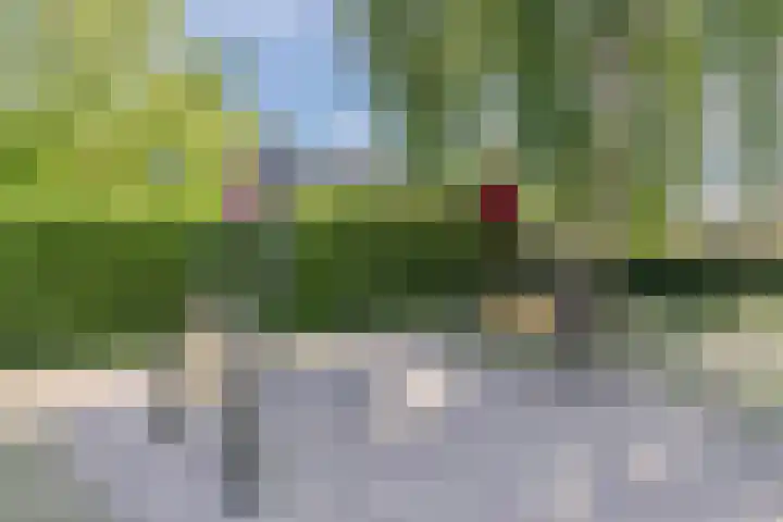 Schoolstraat 42 Mierlo thumbnail 39
