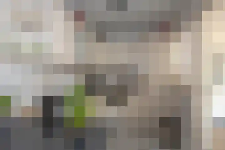 Schoolstraat 42 Rijssen thumbnail 6