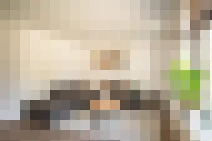 Schoolstraat 43 Luttelgeest thumbnail 12
