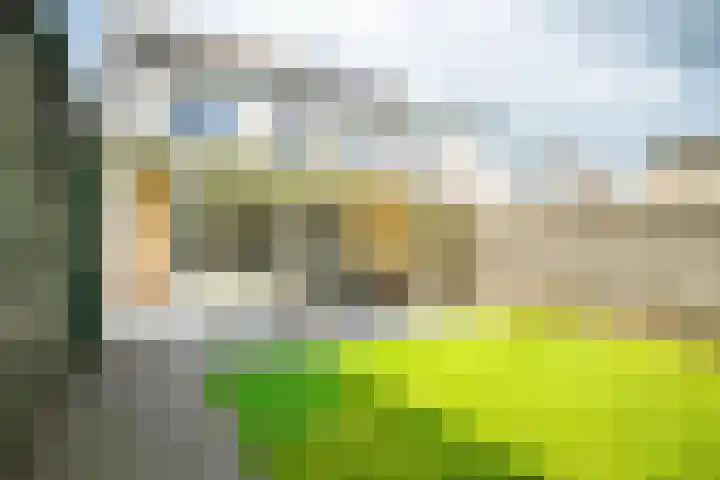 Schoolstraat 43 Luttelgeest thumbnail 25