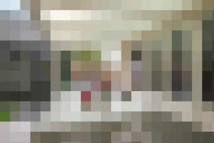 Schoolstraat 43 Luttelgeest thumbnail 27