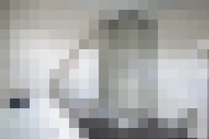 Schoolstraat 43 Luttelgeest thumbnail 34