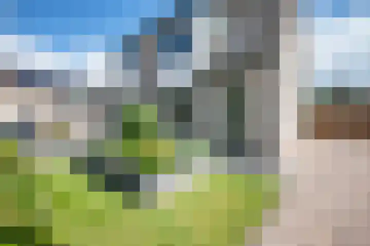 Schoolstraat 43 Luttelgeest thumbnail 4