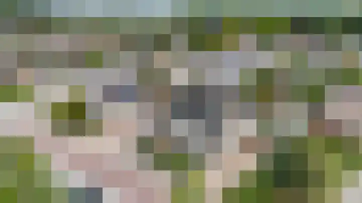Schoolstraat 43 Luttelgeest thumbnail 48