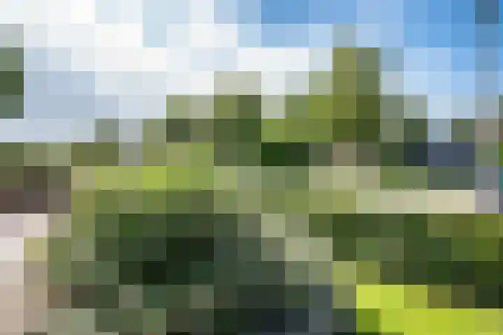 Schoolstraat 43 Luttelgeest thumbnail 5