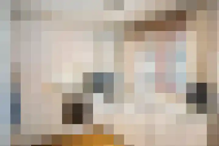Schoolstraat 43 Twello thumbnail 10