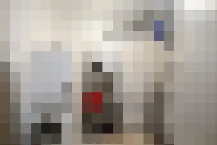 Schoolstraat 43 Twello thumbnail 16