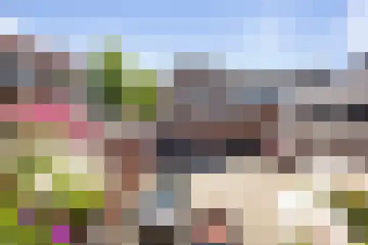 Schoolstraat 43 Twello thumbnail 20