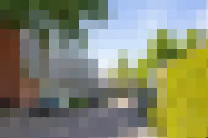 Schoolstraat 43 Twello thumbnail 25