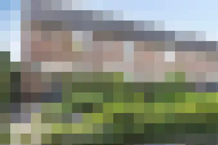 Schoolstraat 44 Den Bommel thumbnail 28