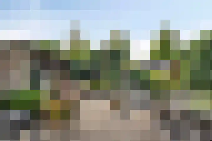 Schoolstraat 44 Den Bommel thumbnail 4
