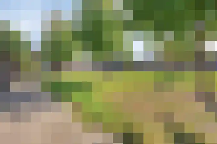 Schoolstraat 44 Den Bommel thumbnail 5