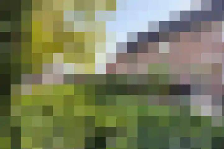 Schoolstraat 44 Den Bommel thumbnail 6
