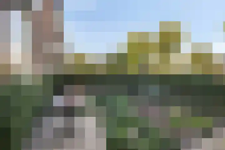 Schoolstraat 44 Den Bommel thumbnail 7
