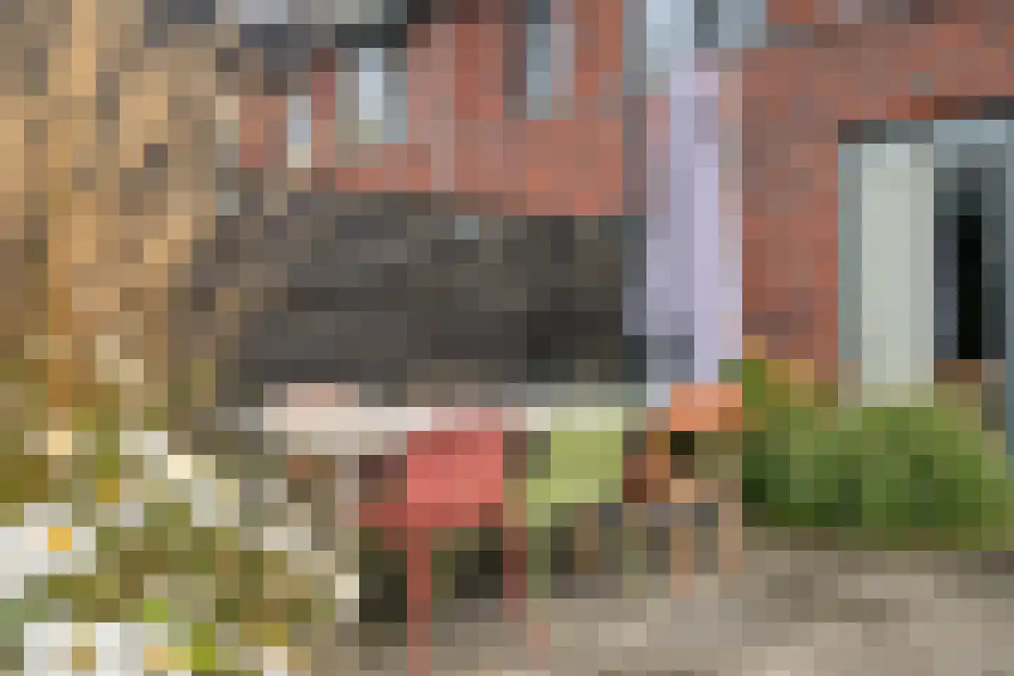 Schoolstraat 44 Ederveen thumbnail 30