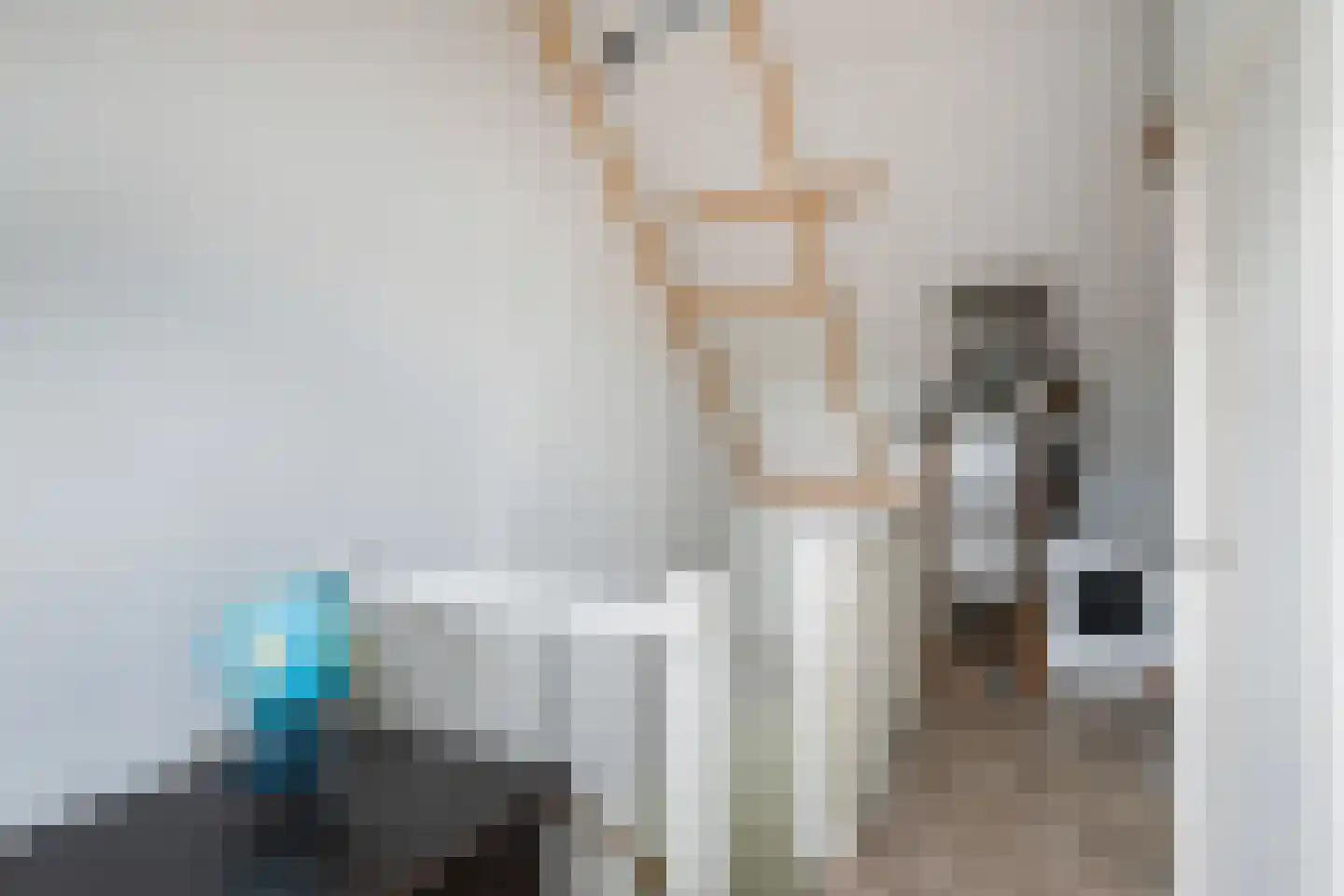 Schoolstraat 44 Ederveen thumbnail 33