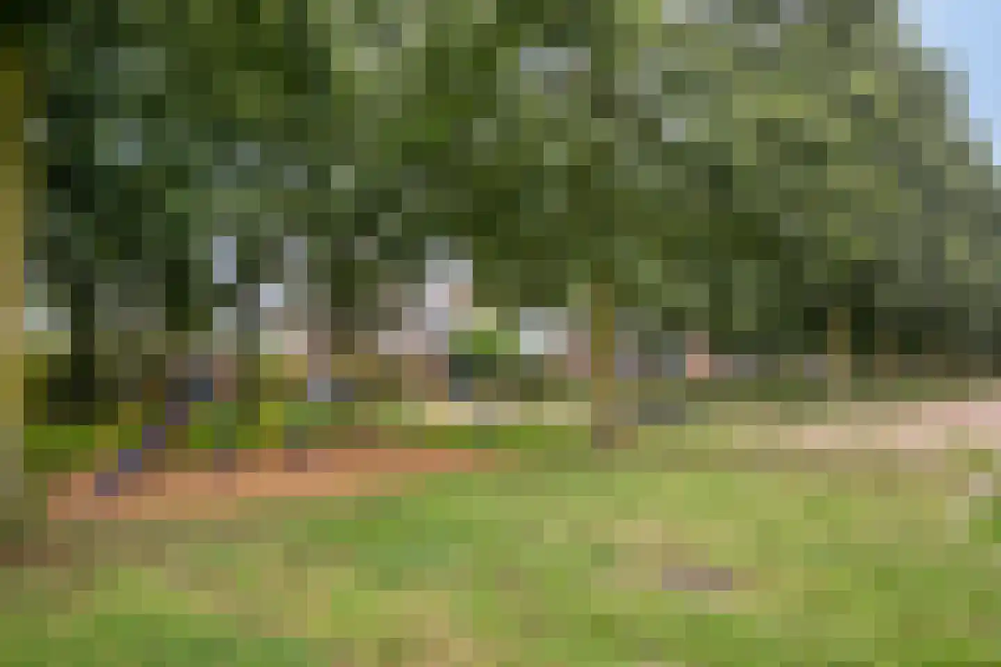 Schoolstraat 44 Ederveen thumbnail 41