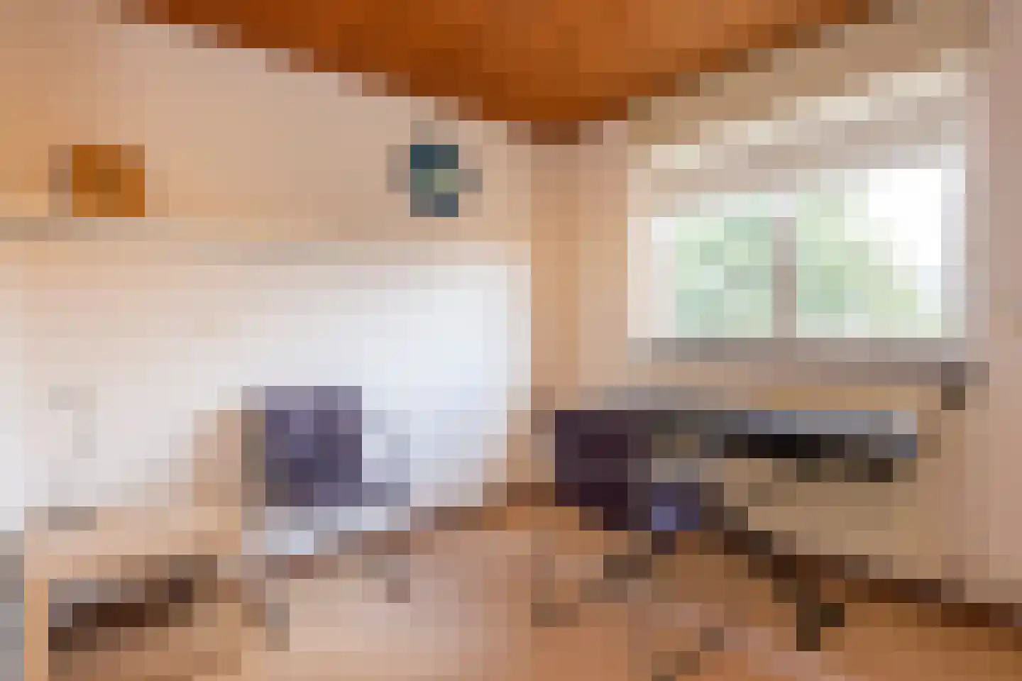 Schoolstraat 45 Moergestel thumbnail 32