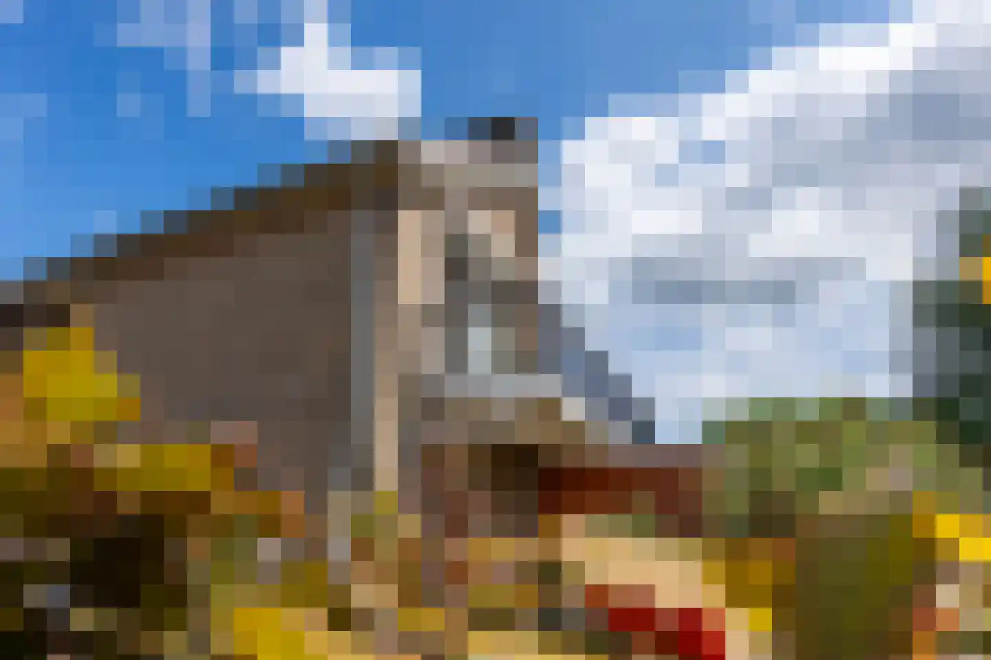 Schoolstraat 45 Moergestel thumbnail 40