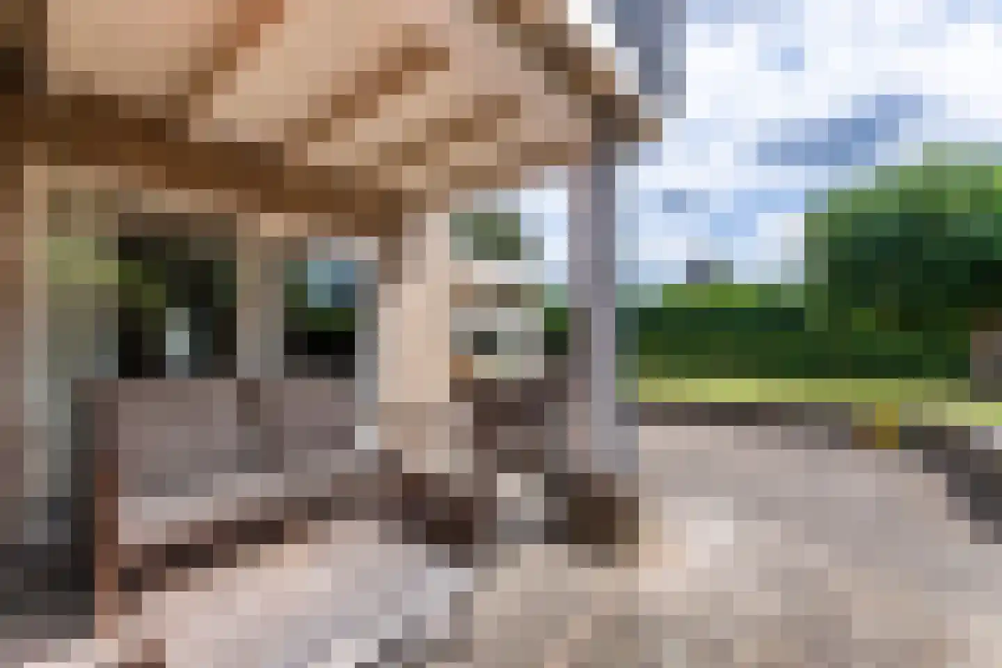 Schoolstraat 45 Moergestel thumbnail 44