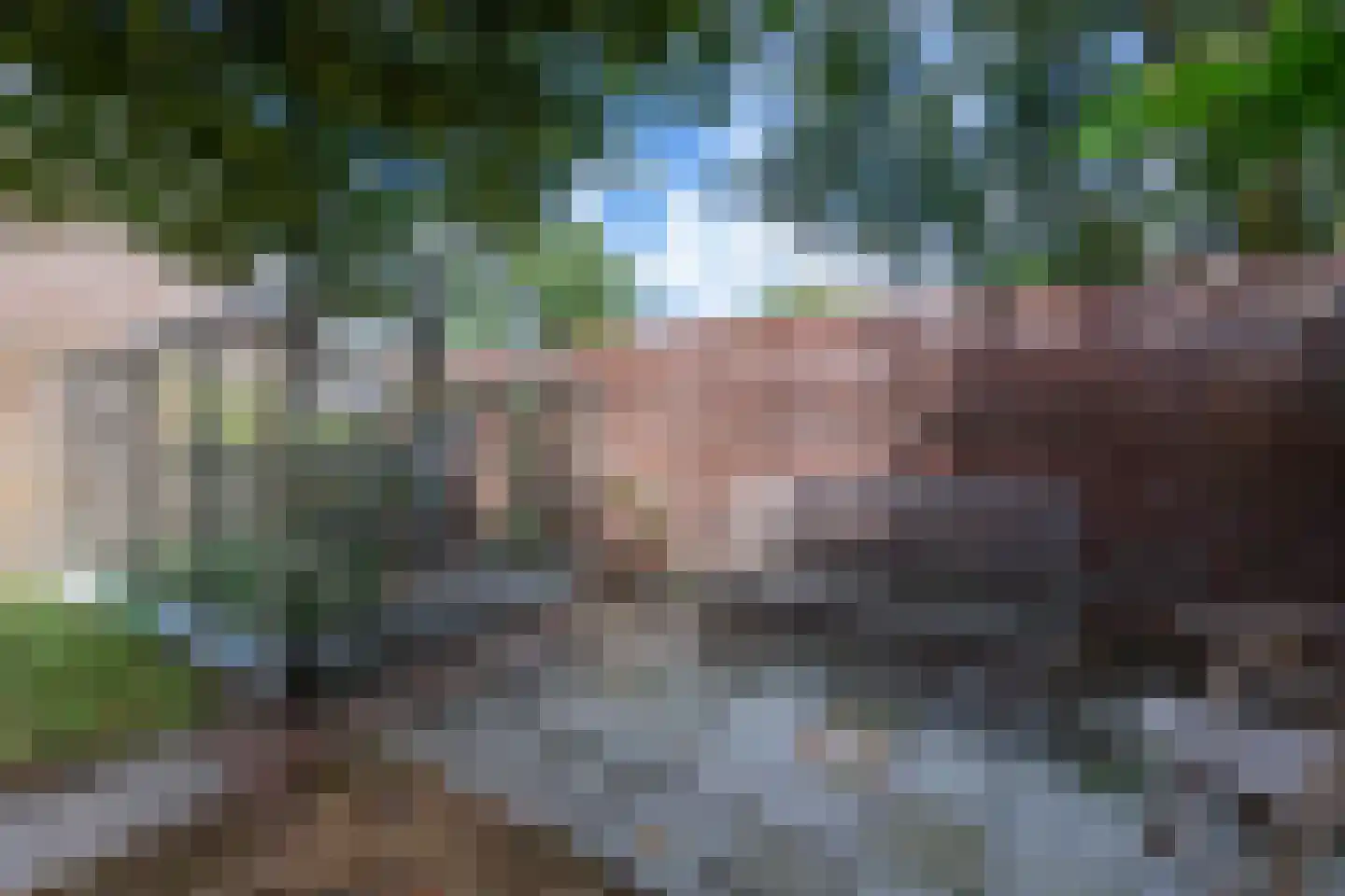 Schoolstraat 45 Moergestel thumbnail 45