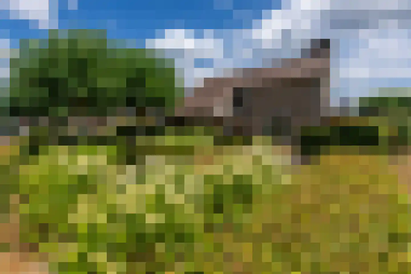 Schoolstraat 45 Moergestel thumbnail 5